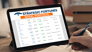 Model Portfolio image.